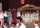 DSC7078